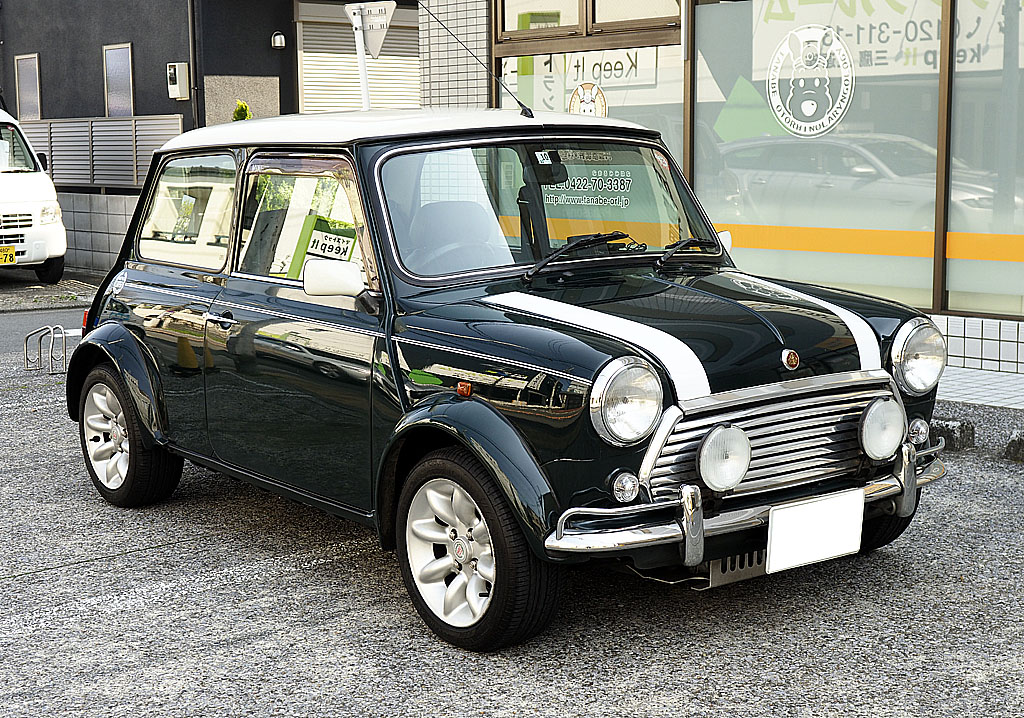 ローバー　ミニ専用ダックテール ローバー ミニ専用ダックテール